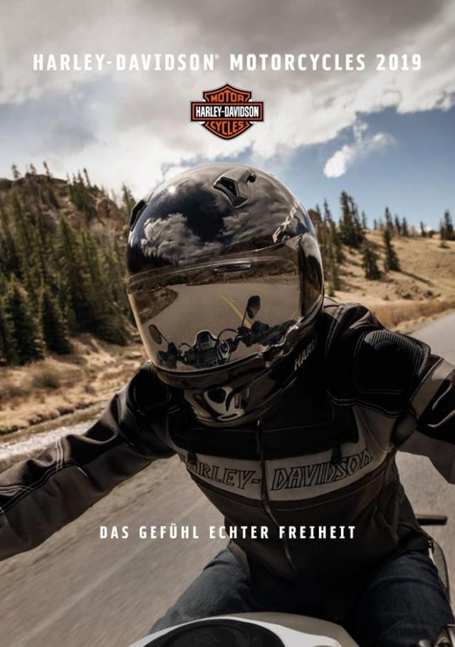Harley Davidson Motorcycles 2019 . Harley Davidson (2019-12-31-2019-12-31)
