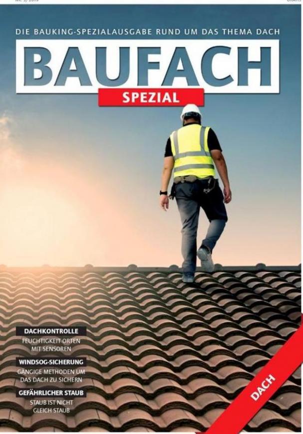 BAUFACH Spezial . Bauking (2019-12-31-2019-12-31)