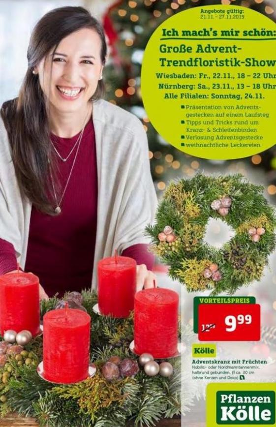 Katalog . Pflanzen Kölle (2019-11-27-2019-11-27)