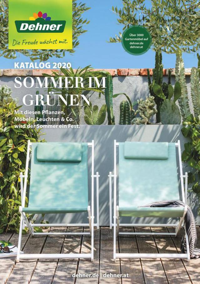 Sommer im grünen . Dehner (2020-08-31-2020-08-31)