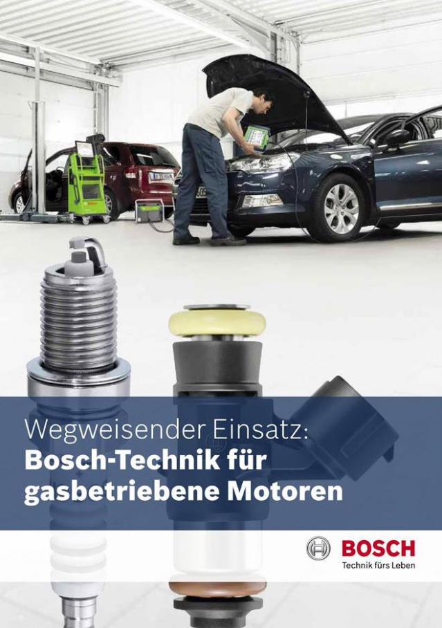 Bosch Gasfolder  . Bosch Car Service (2020-06-30-2020-06-30)