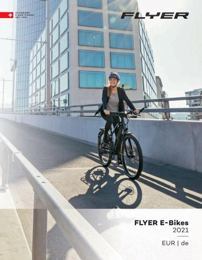 FLYER E-Bikes 2021 . ZEG (2021-12-31-2021-12-31)