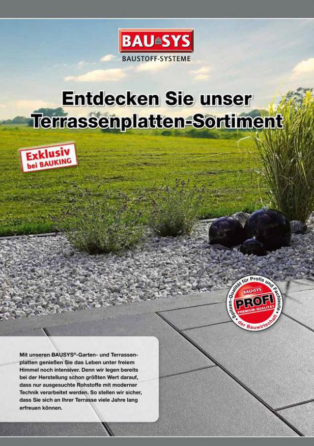 BAUSYS Terrassenplatten 2021 . Bauking (2021-04-30-2021-04-30)