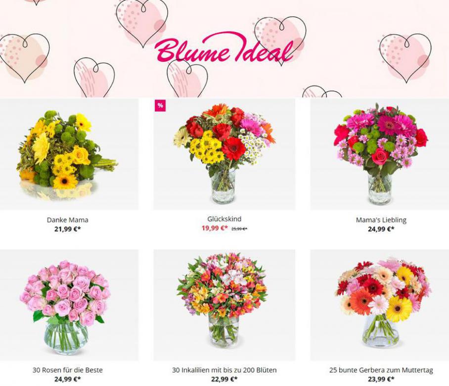 Angebote . Blume Ideal (2021-05-02-2021-05-02)