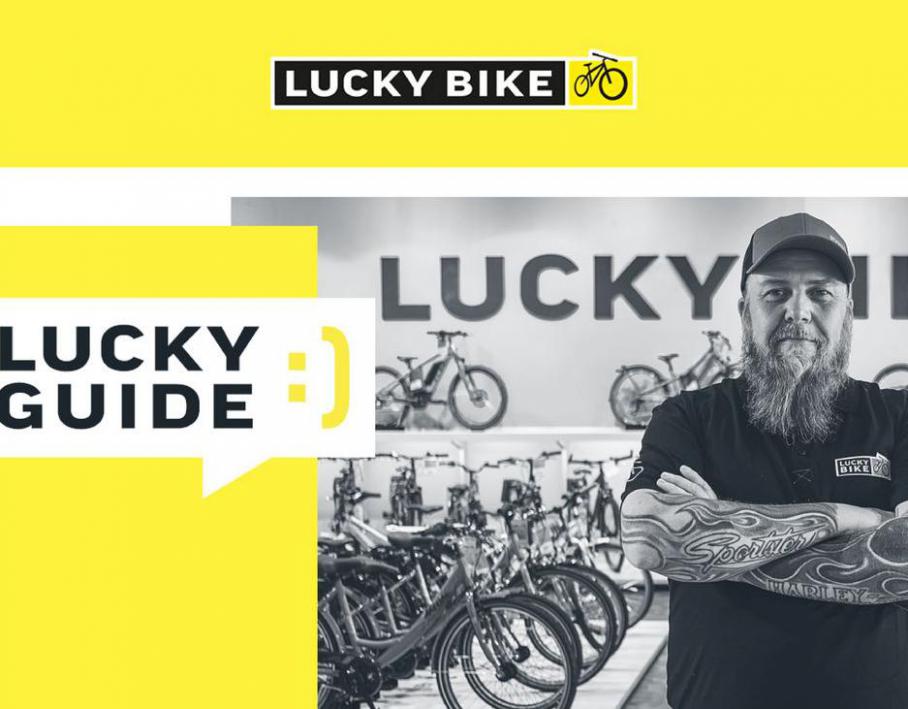 Sales . Lucky Bike (2021-04-25-2021-04-25)