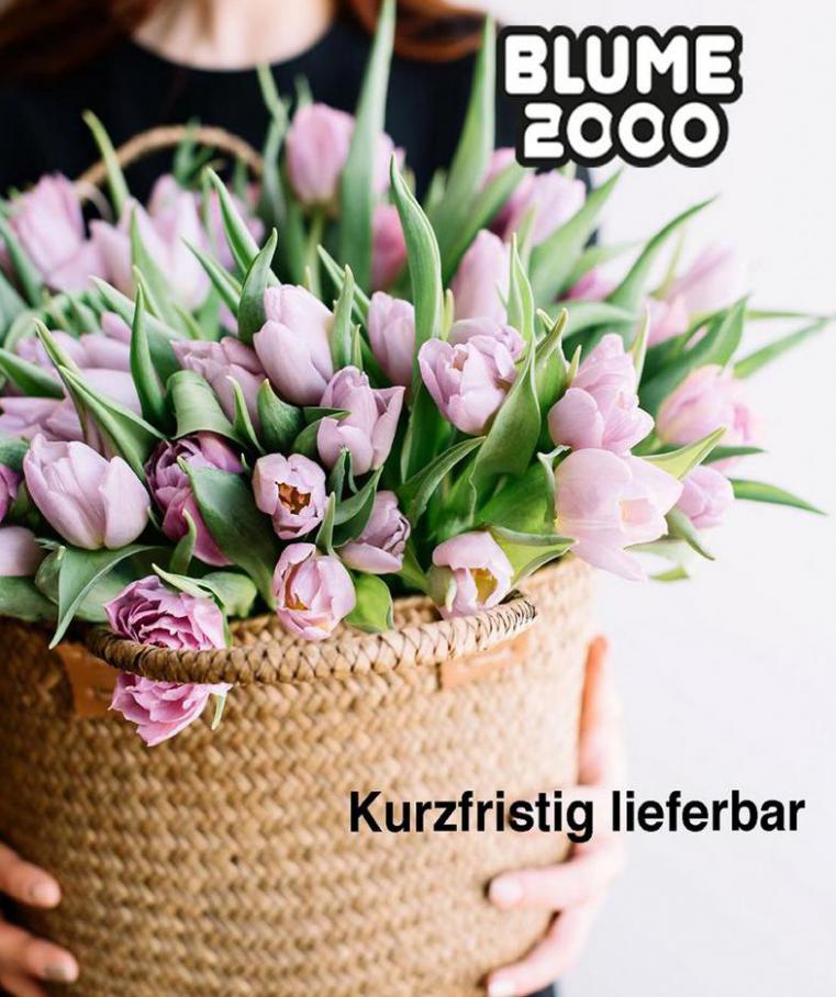 Kurzfristig Lieferbar . Blume 2000 (2021-04-30-2021-04-30)