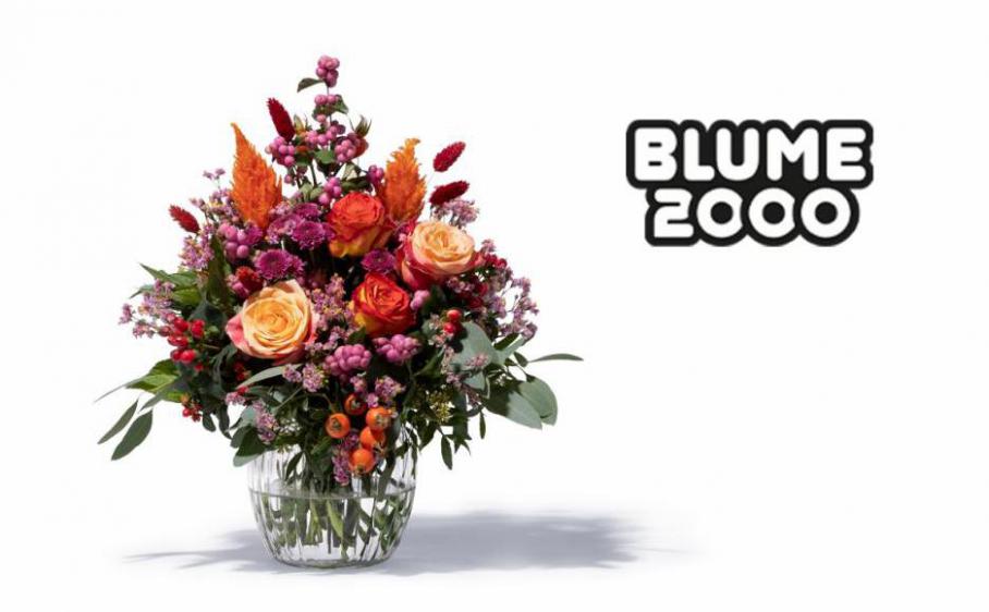 Lookbook. Blume 2000 (2021-11-01-2021-11-01)