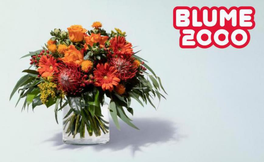 Catalogue. Blume 2000 (2021-12-03-2021-12-03)