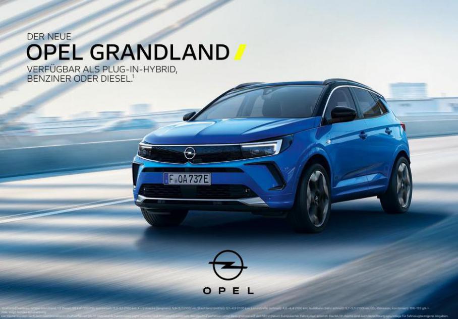 Opel - Grandland. Opel (2022-01-31-2022-01-31)