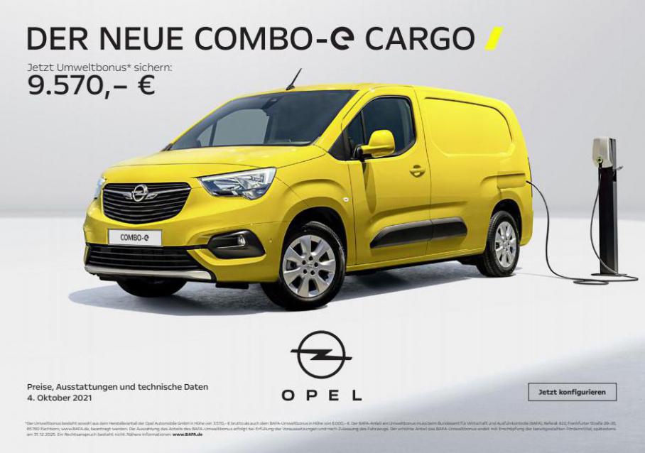 Opel - Combo-e Cargo. Opel (2022-01-31-2022-01-31)