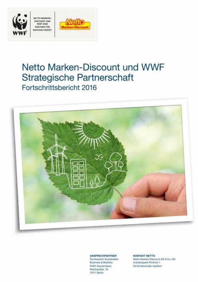 Fortschrittsbericht 2016. Netto Marken-Discount (2021-12-13-2021-12-13)