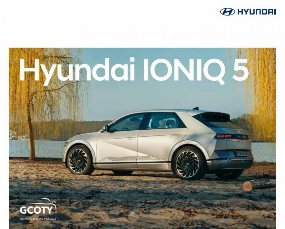 Hyundai IONIQ 5. Hyundai (2022-12-31-2022-12-31)
