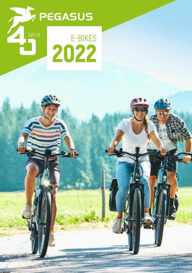 PEGASUS E-Bikes 2022. ZEG (2022-12-31-2022-12-31)