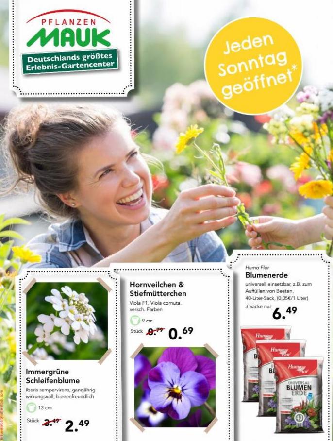 Frühling Magazin 2022. Pflanzen Mauk (2022-06-30-2022-06-30)