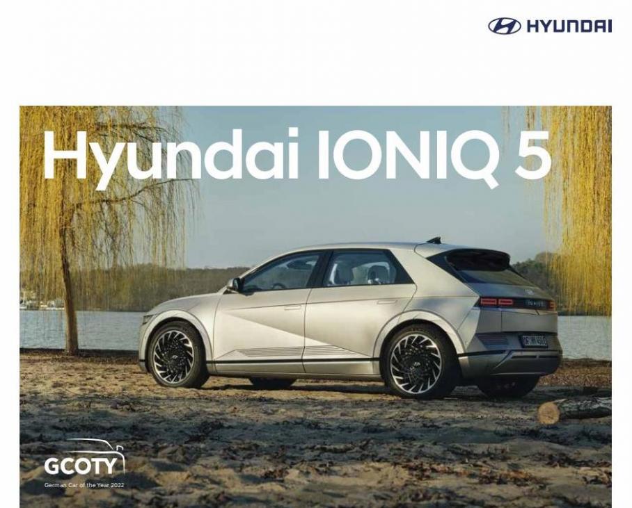 Hyundai IONIQ 5. Hyundai (2022-12-31-2022-12-31)