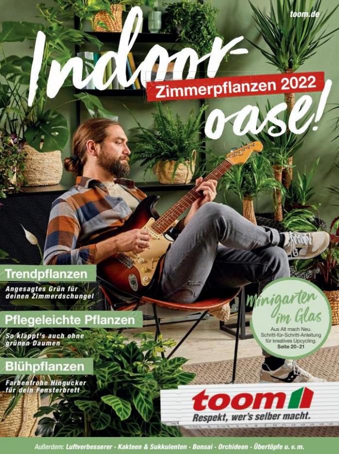 Zimmerpflanzen 2022. toom Baumarkt (2022-07-31-2022-07-31)