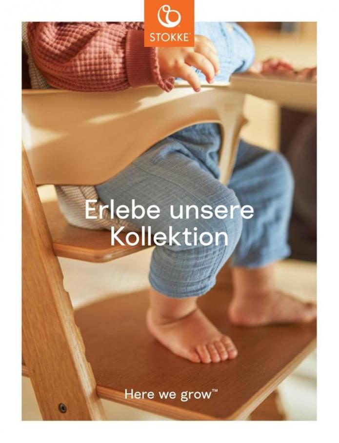 Stokke Consumer Guide - German. Stokke (2022-07-31-2022-07-31)