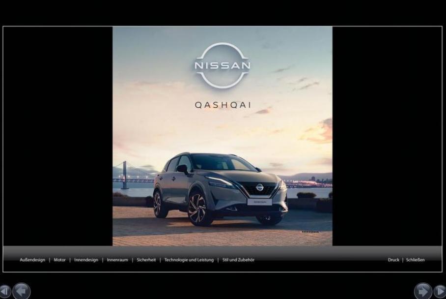 Qashqai. Nissan (2023-11-14-2023-11-14)