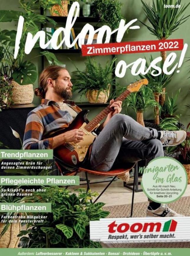 Katalog Zimmerpflanzen 2022. toom Baumarkt (2022-12-31-2022-12-31)