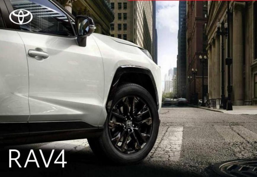 RAV4. Toyota (2024-01-02-2024-01-02)