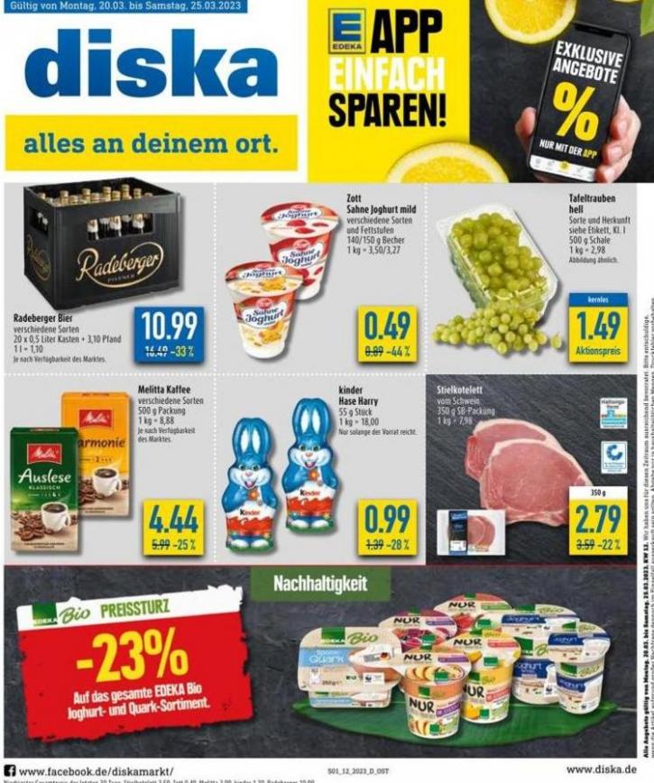 Diska flugblatt. diska (2023-03-25-2023-03-25)