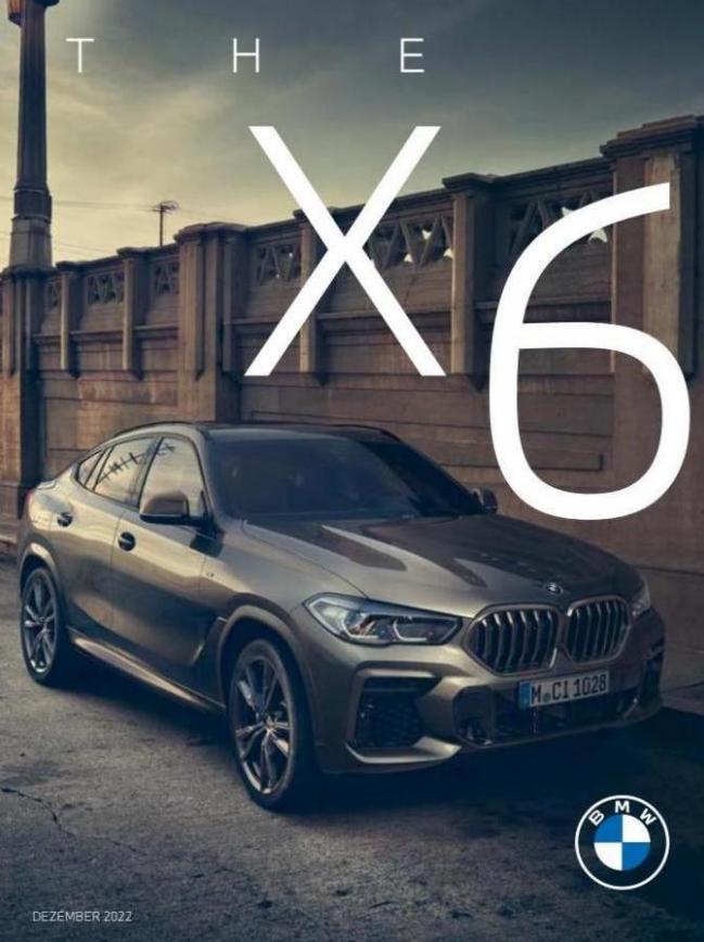 BMW X6. BMW (2024-01-09-2024-01-09)
