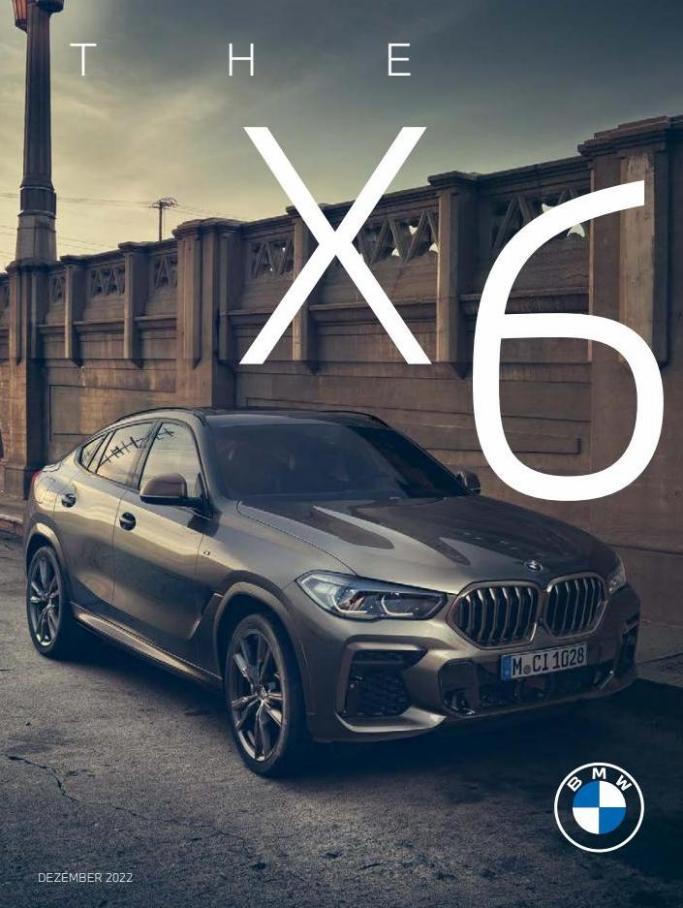 BMW X6. BMW (2023-11-13-2023-11-13)