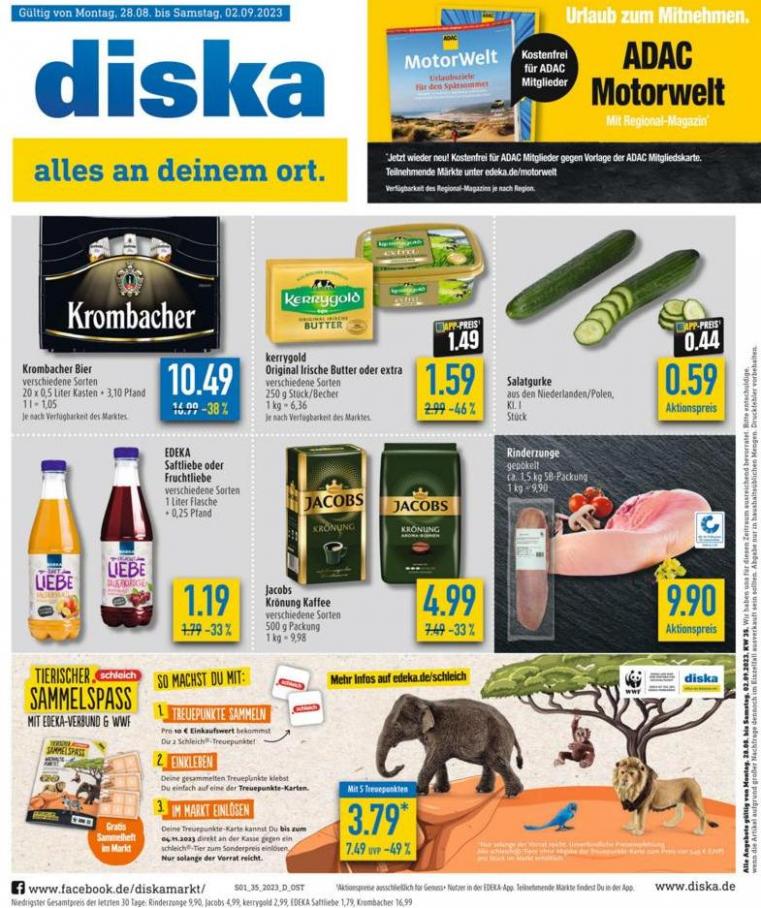 Diska flugblatt. diska (2023-09-02-2023-09-02)