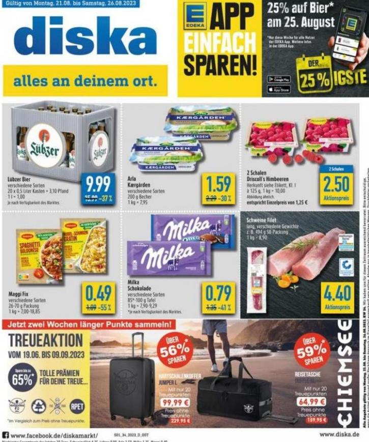 Diska flugblatt. diska (2023-08-26-2023-08-26)