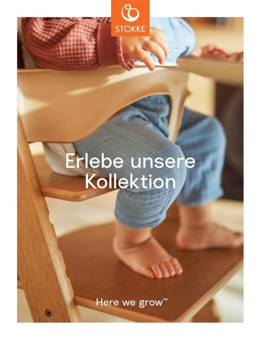 Stokke Consumer Guide - German. Stokke (2023-11-03-2023-11-03)