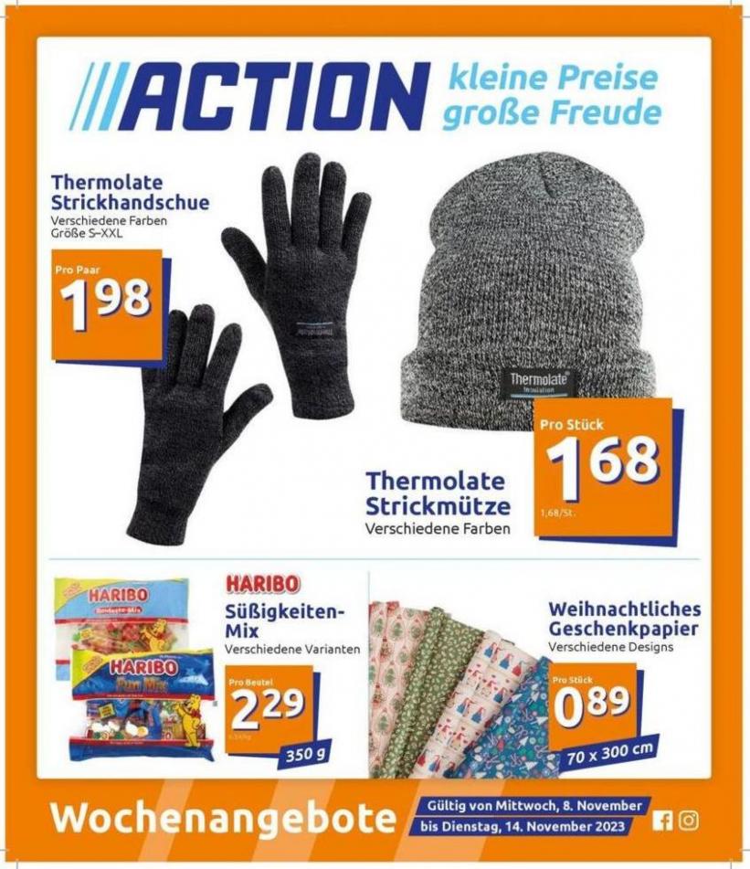 Action katalog. Action (2023-11-14-2023-11-14)