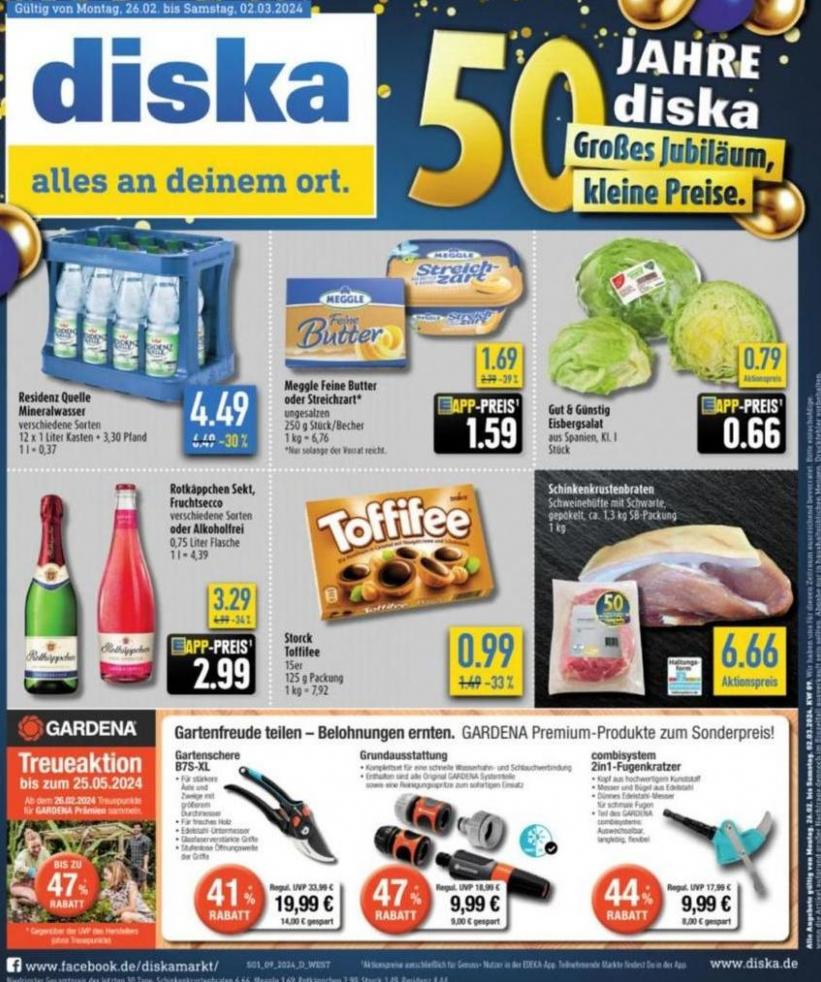 Diska flugblatt. diska (2024-03-11-2024-03-11)
