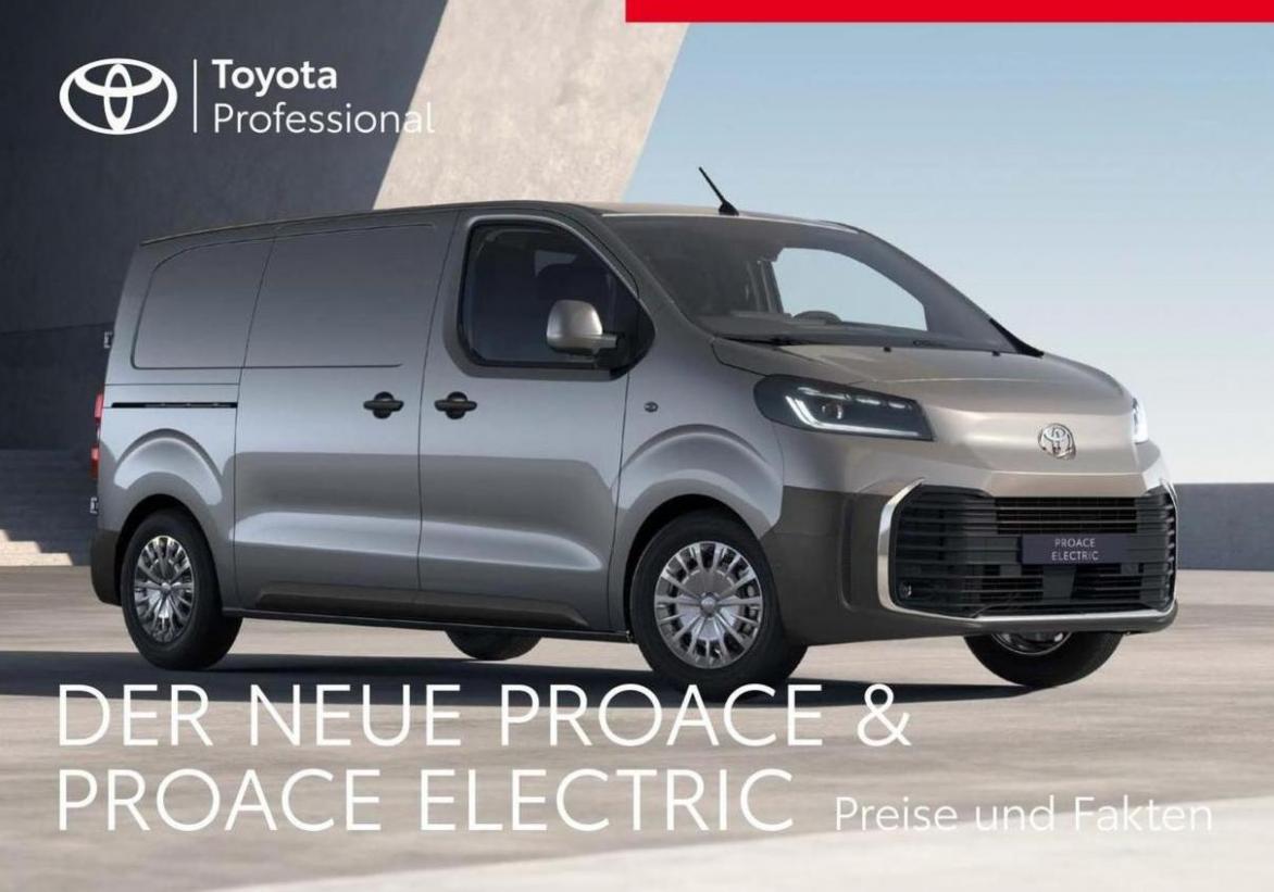Toyota Proace/Proace Electric. Toyota (2025-03-20-2025-03-20)