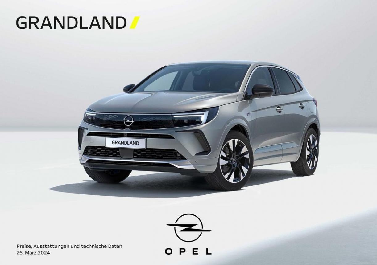 Opel Grandland. Opel (2025-04-11-2025-04-11)
