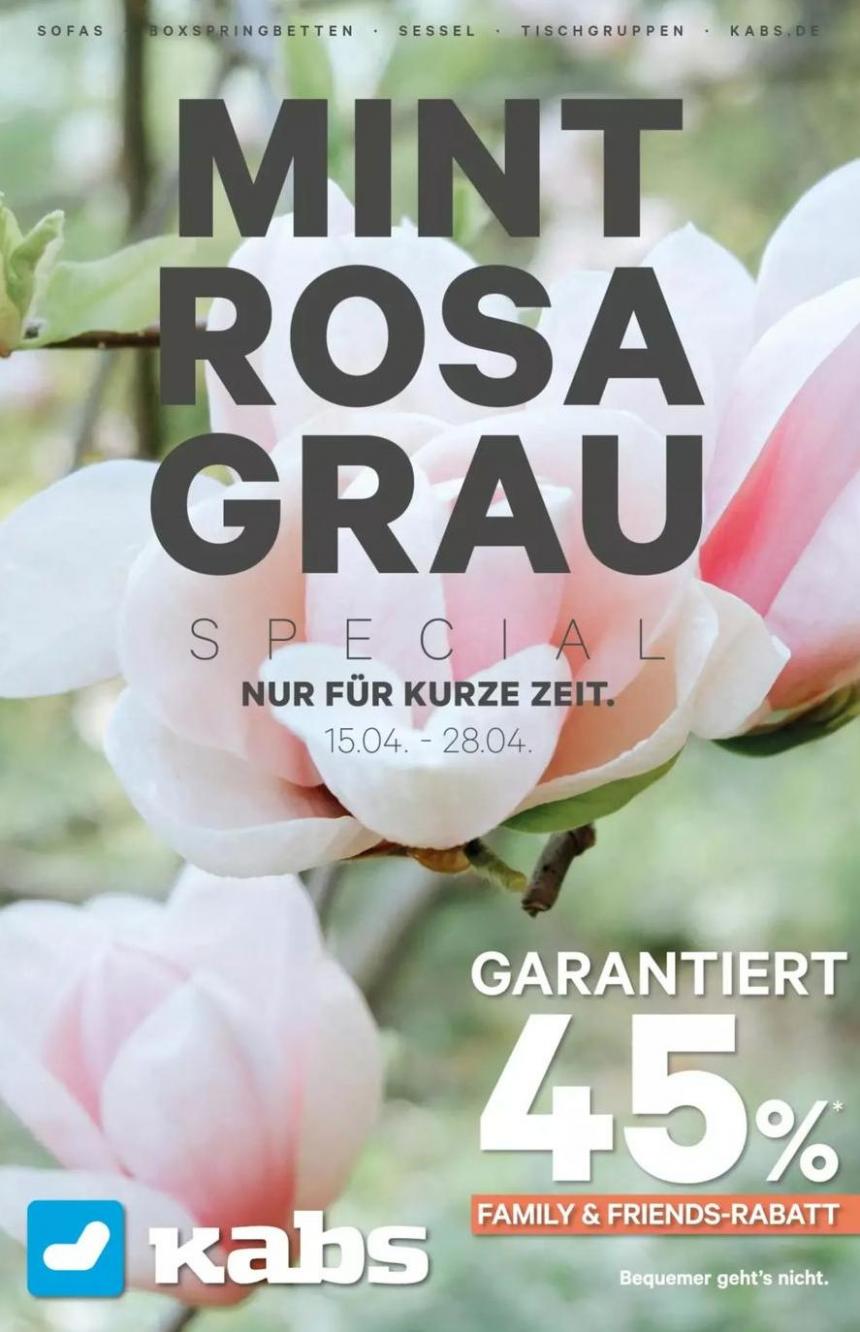 Wochenspecial - Mint-Rosa-Grau. Kabs Polsterwelt (2024-04-29-2024-04-29)