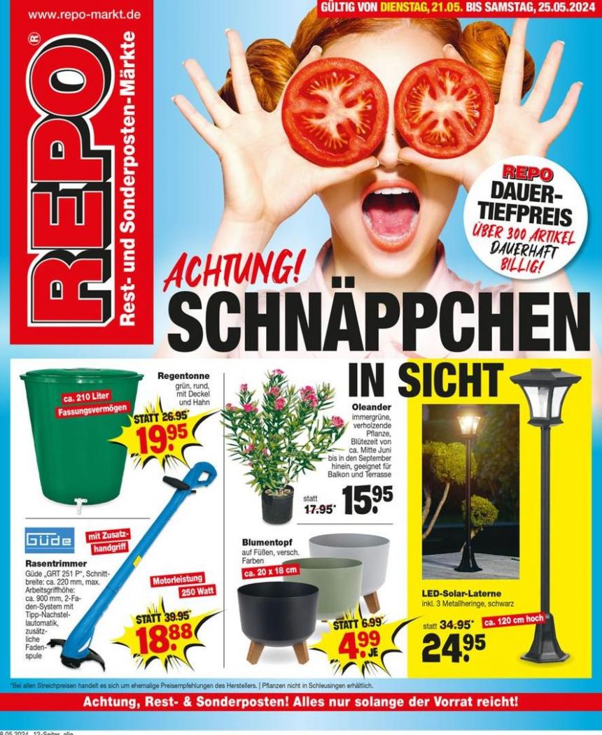 Exklusive Schnäppchen. Repo Markt (2024-06-02-2024-06-02)