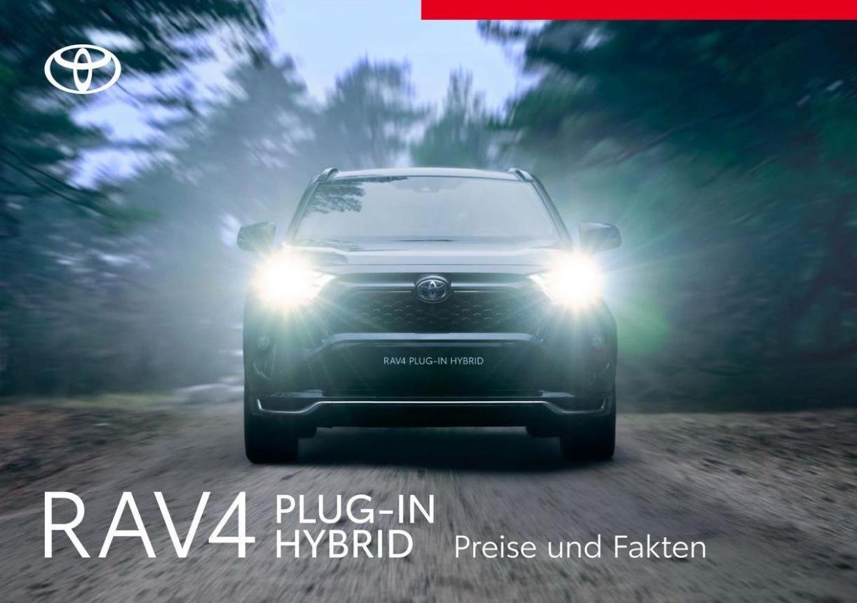 Toyota RAV4 Plug-in Hybrid. Toyota (2025-05-01-2025-05-01)