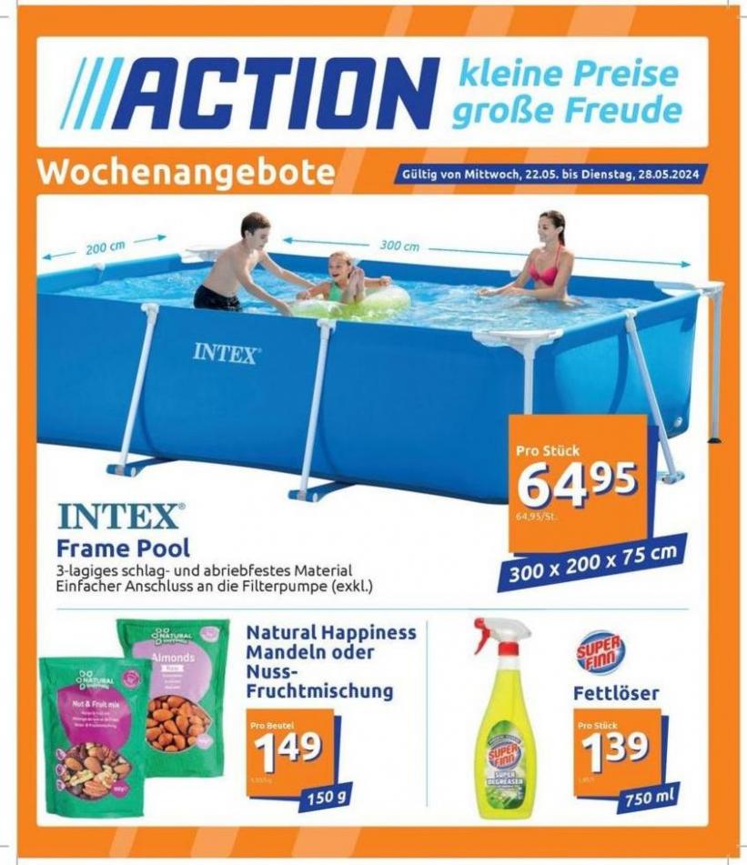 Action katalog. Action (2024-05-28-2024-05-28)