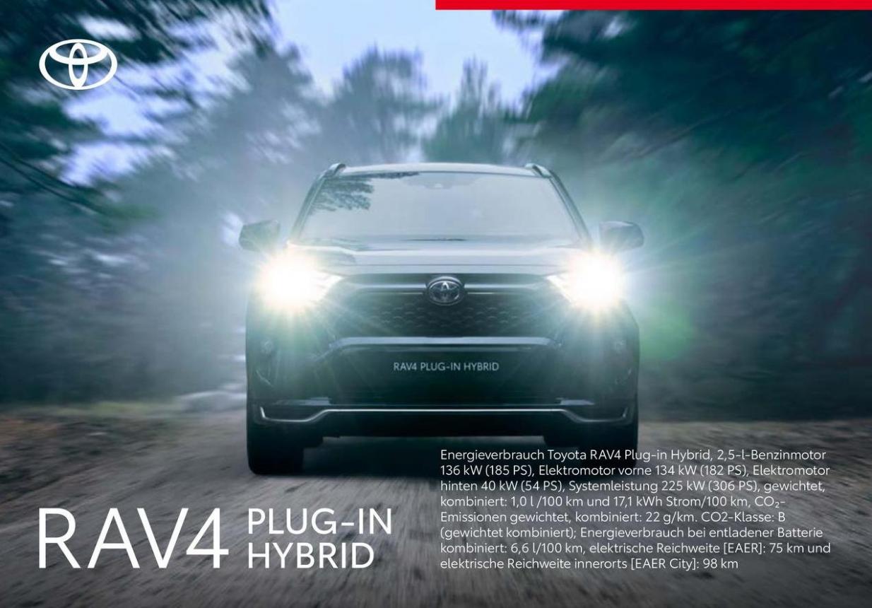 Toyota RAV4 Plug-in Hybrid. Toyota (2025-05-15-2025-05-15)