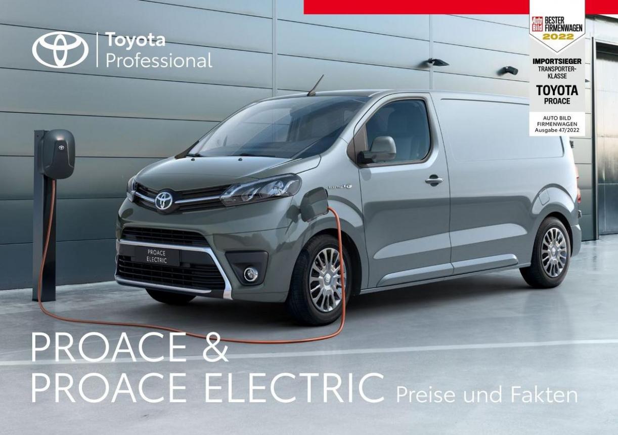 Toyota Proace/Proace Electric. Toyota (2025-05-11-2025-05-11)