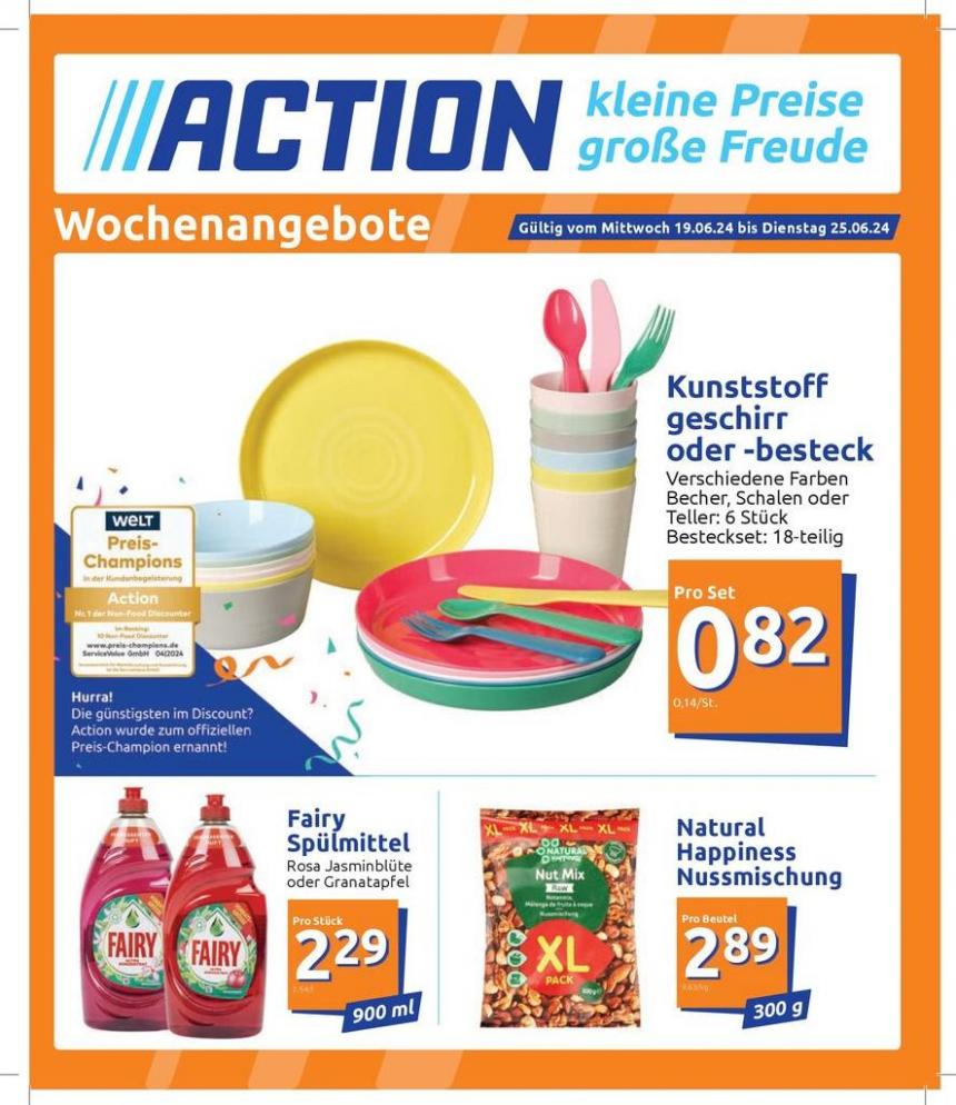 Action katalog. Action (2024-06-25-2024-06-25)