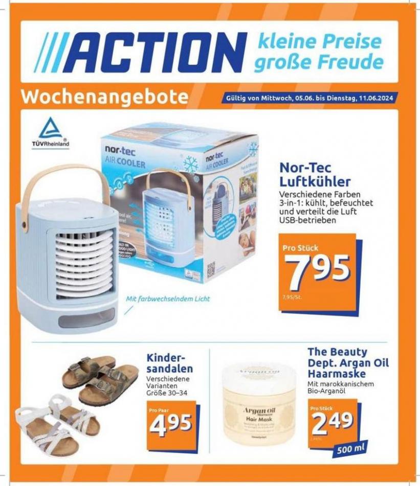 Action katalog. Action (2024-06-11-2024-06-11)